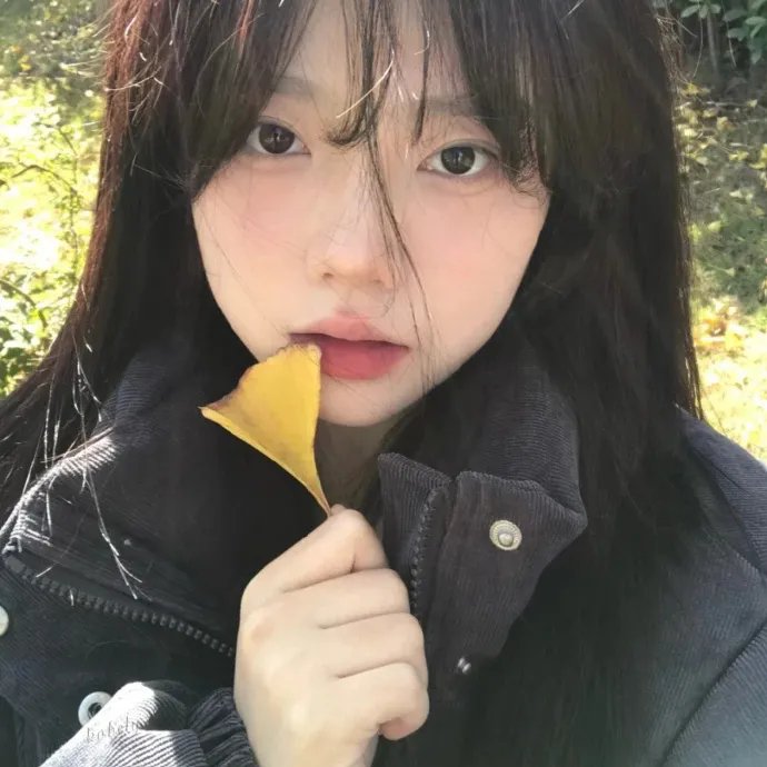 不法之徒