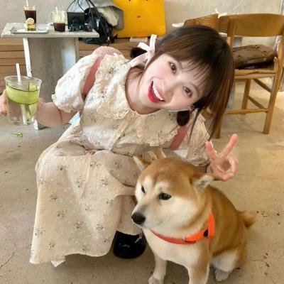 彼得和狼